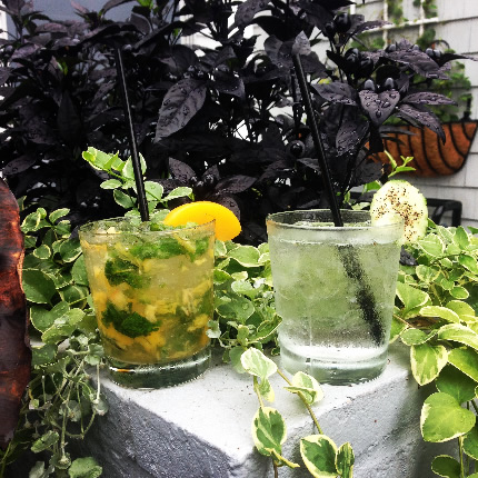 Drinks